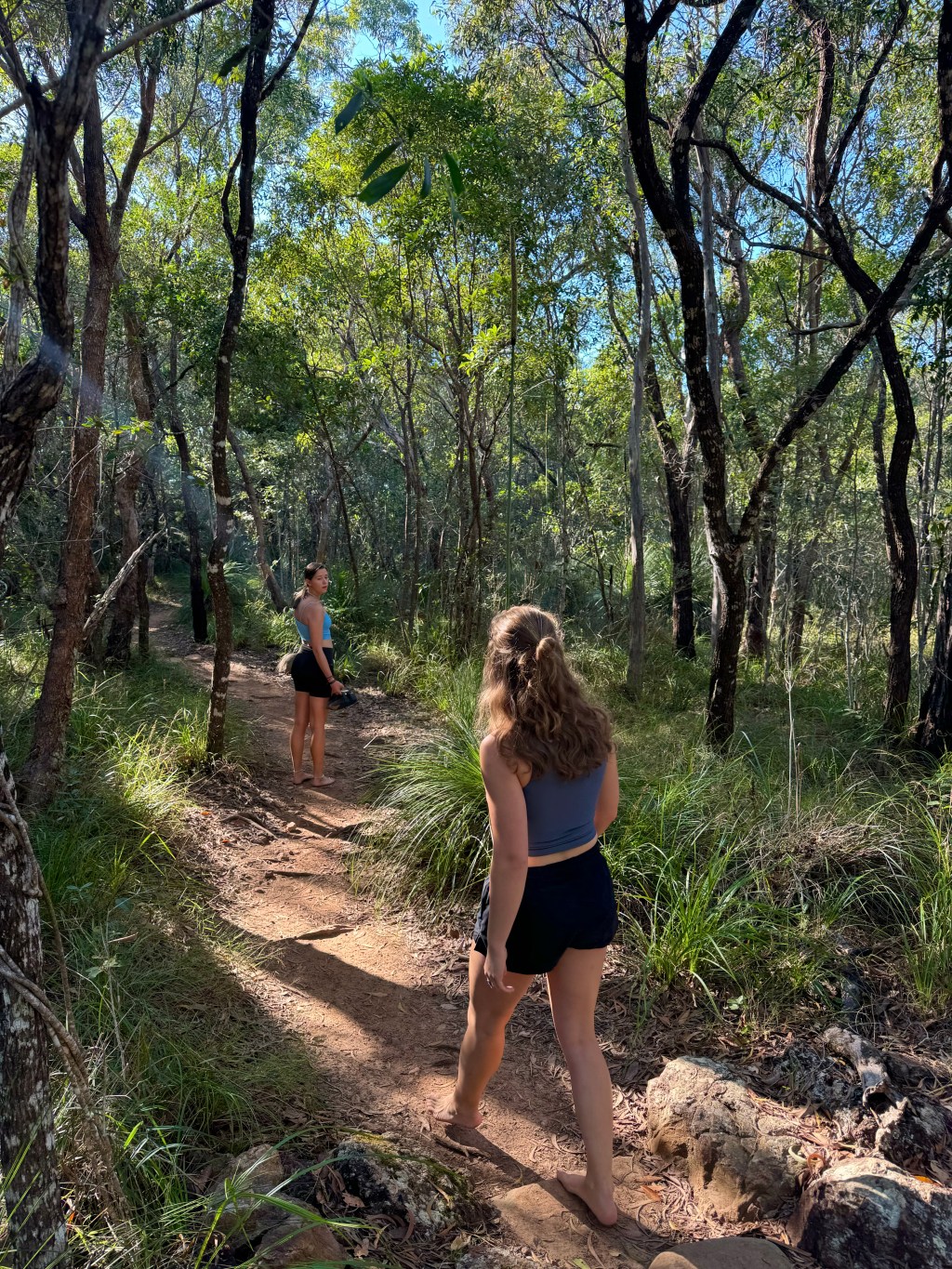 What the Golden Goose Teaches Us: A Deeper Lesson in Patience and&nbsp;Wisdom