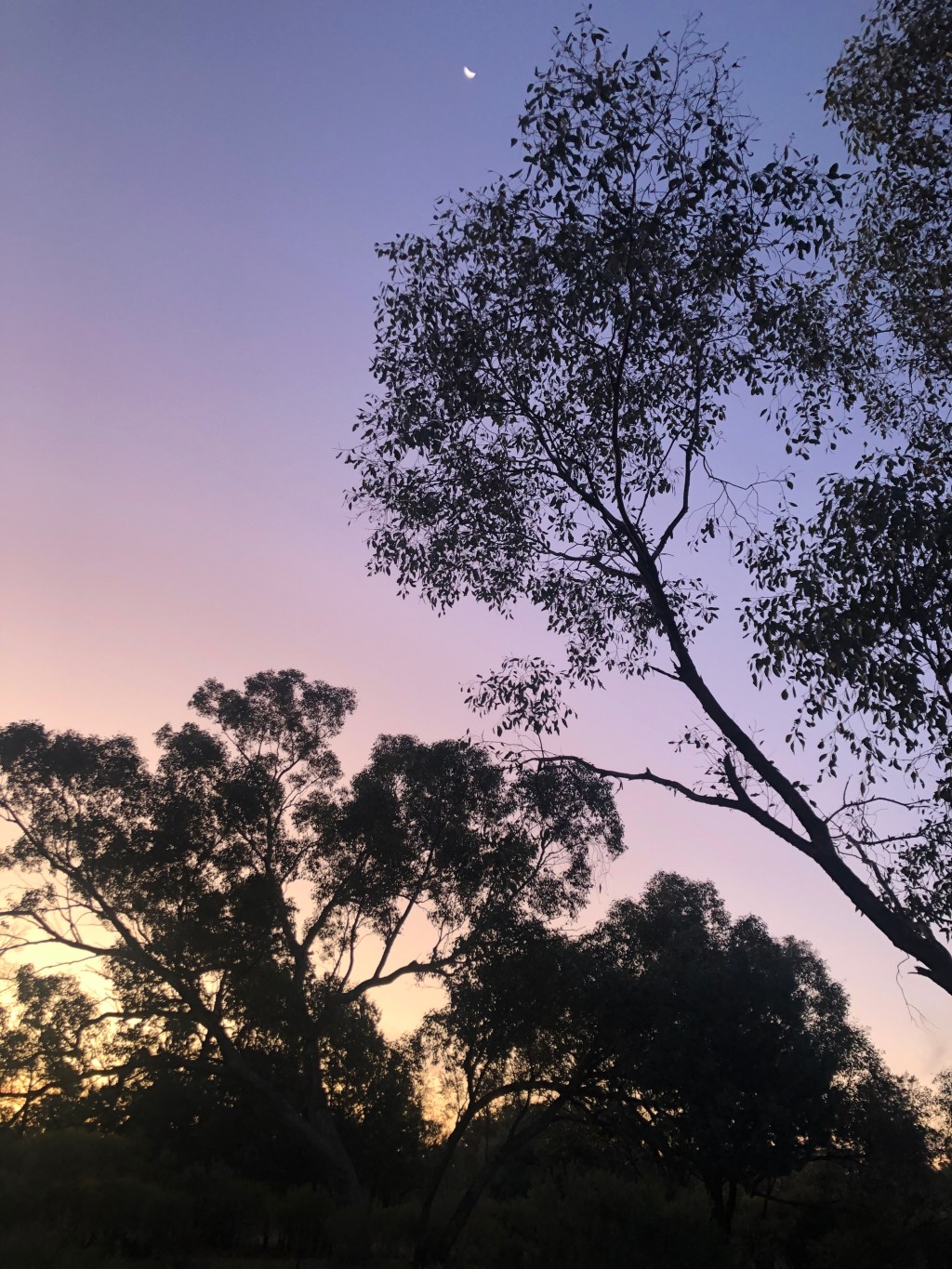 Life Guides You to Where You’re Meant to Be – Embrace Life as Your&nbsp;Creation