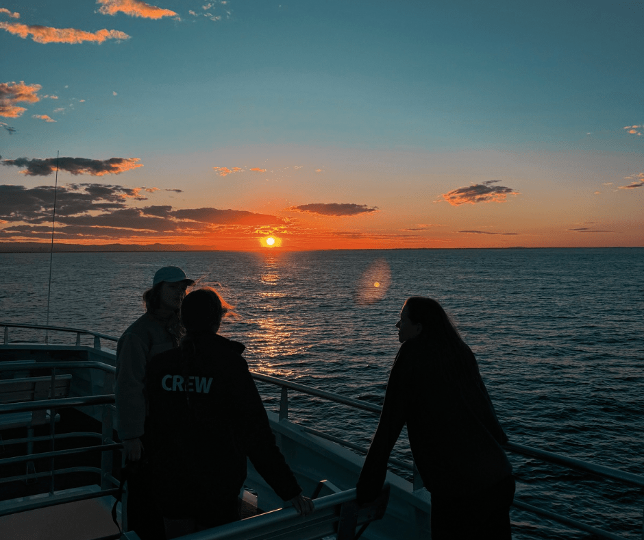 The Power of Good&nbsp;Questions