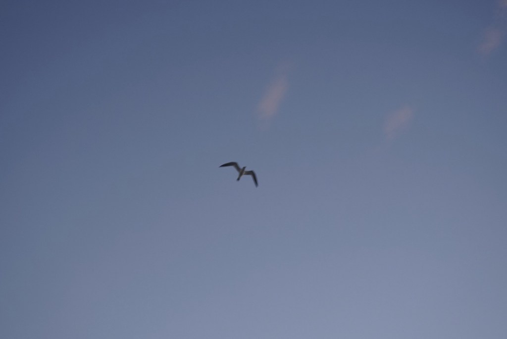 Fear Is Not the Enemy — It’s the&nbsp;Door